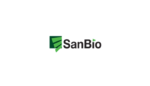 SanBio touts 1-year data on stem cell transplant for stroke