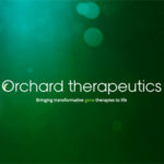 Orchard Therapeutics, UCLA land $20m for stem cell clinical trial