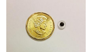 Tiny magnetic implant delivers drug locally