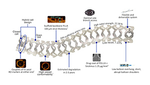 Meril's bioresorbable, drug-eluting vascular scaffold