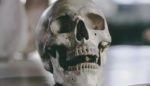 regrow bone skull hydrogels