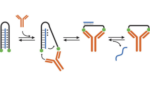 DNA-based molecular slingshot