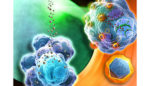 Nanobiotix nanoparticle