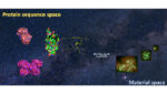 light-sensitive hydrogel