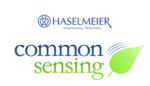 Common Sensing, Haselmeier