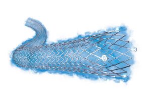 Boston Scientific Eluvia drug-eluting vascular stent system (1)